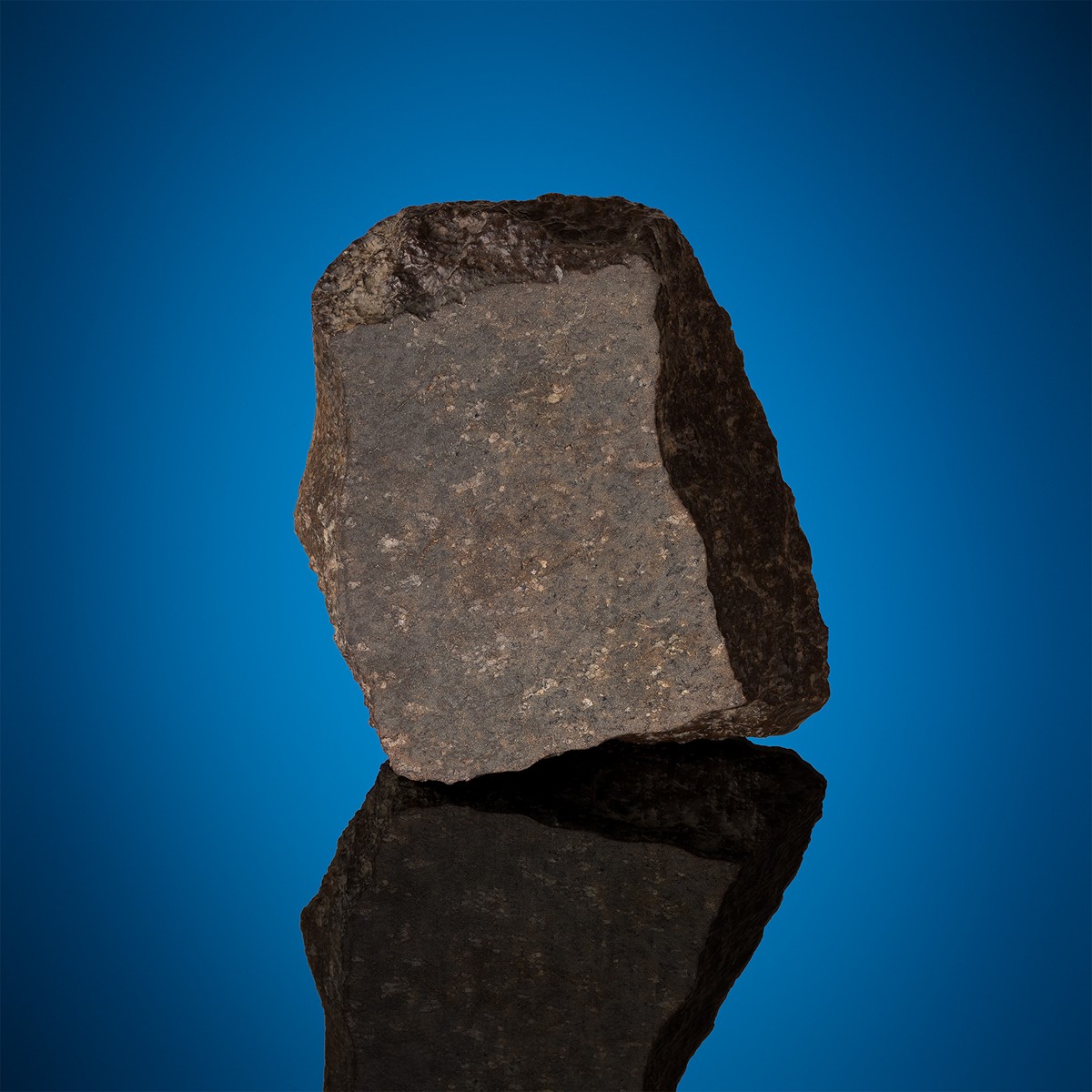 NWA 14057 - Ureilite - endcut