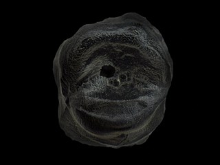 [NMM 2301] Buskerud (Storsenter)