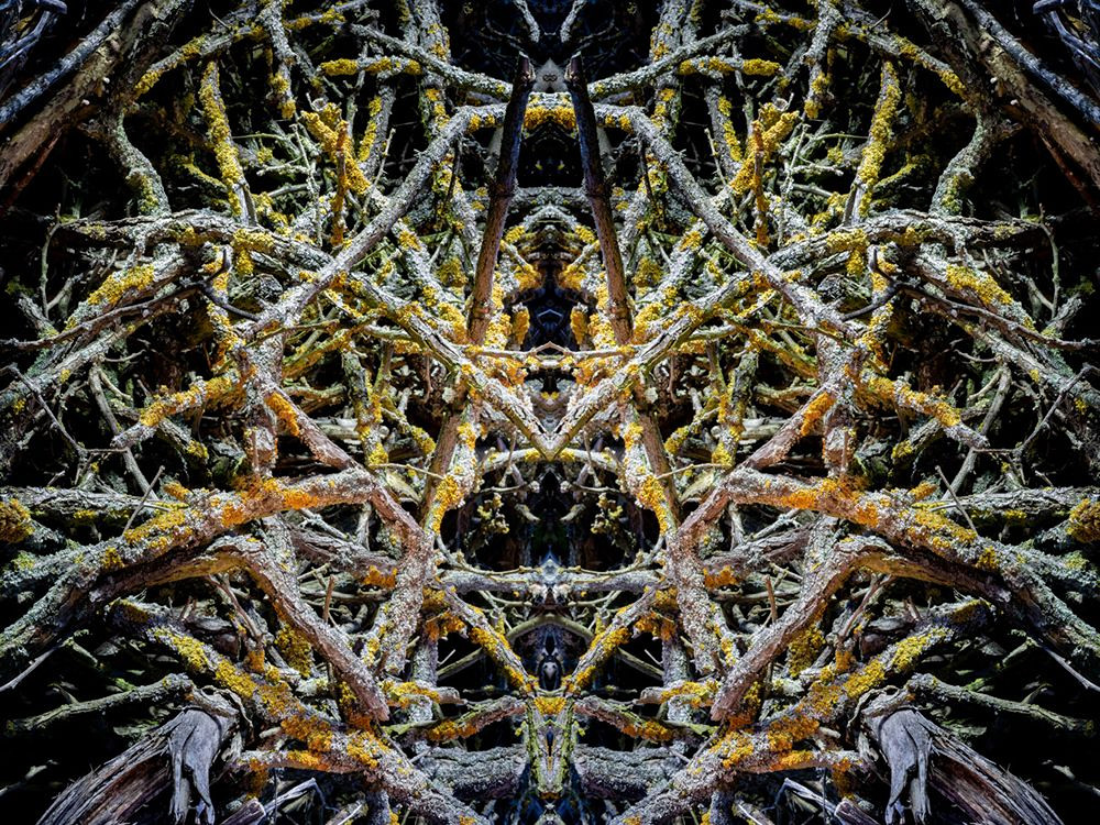 Daniel Kreissl Z Cyklu D moni I Art For Mental Health Livebid cz daniel-kreissl-z-cyklu-d-moni-i-art-for-mental-health-livebid-cz