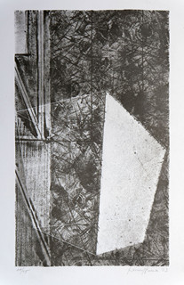 Pavel Hora (1968) -  Clona I