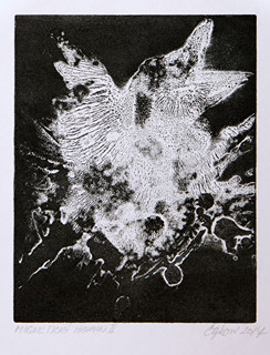 Eva Čapková (1979) - Magnetický havran II