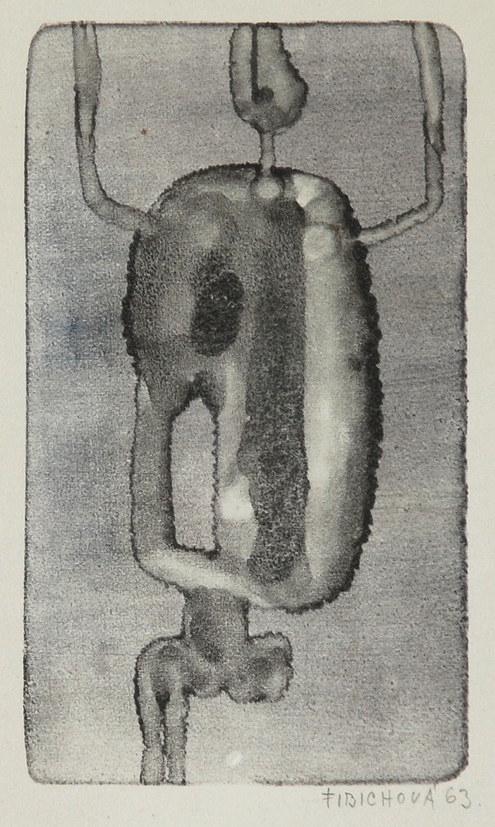 Zdena Fibichová (1933 - 1991) - Postava