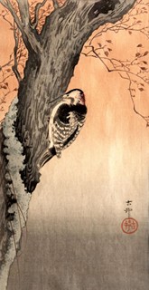 Koson Ohara (1877 - 1945) - Datel Strakatý