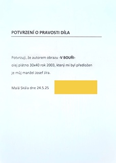 Josef Jíra (1929 - 2005) - V bouři 03 