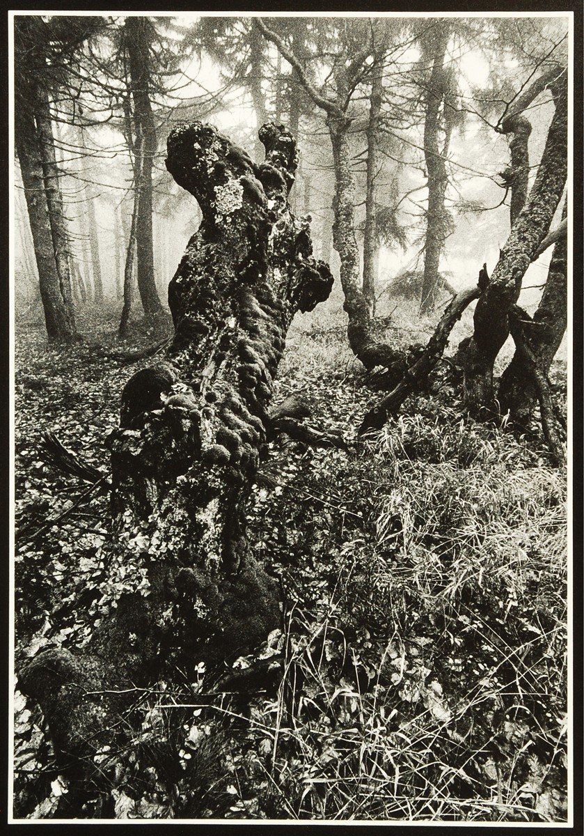 Jiří Bartoš