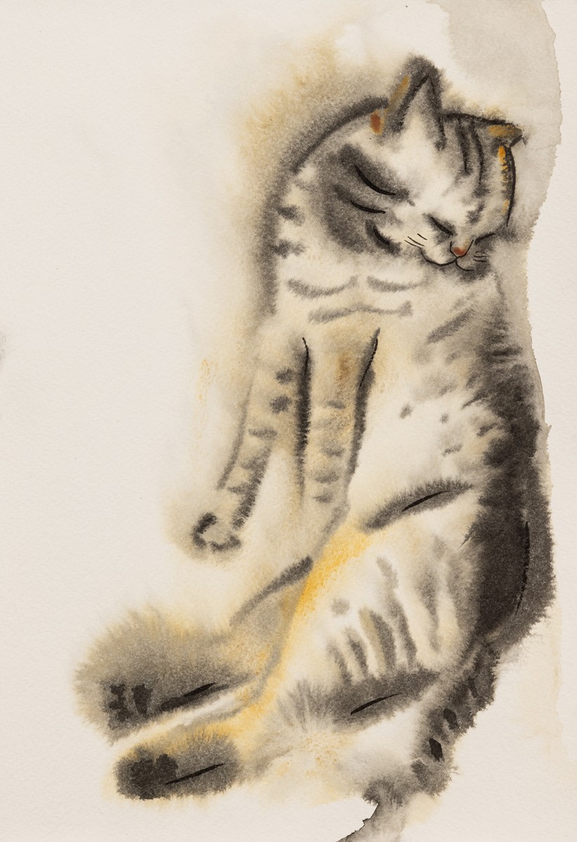 Vendula Chalánková (1981) - Pižla