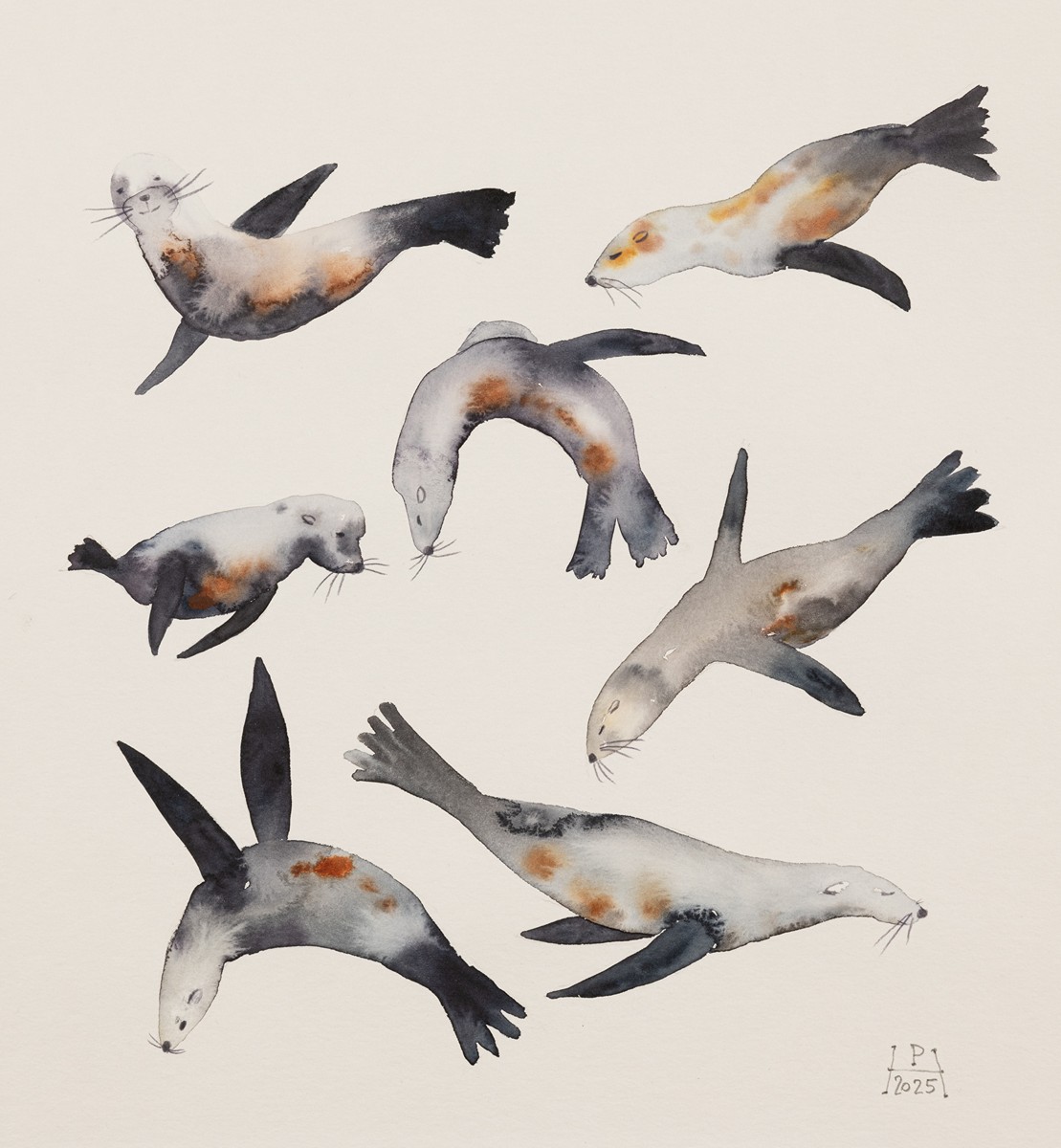 Pavla Hroudová (1968) - Lachtani