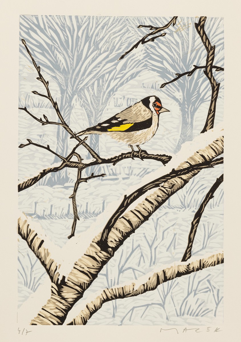 Pavel Macek - Stehlík