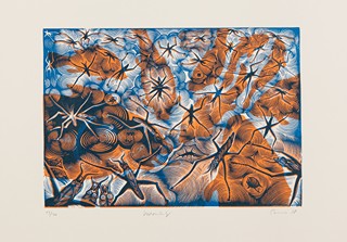 František Štorm (1966) - Vodoměrky