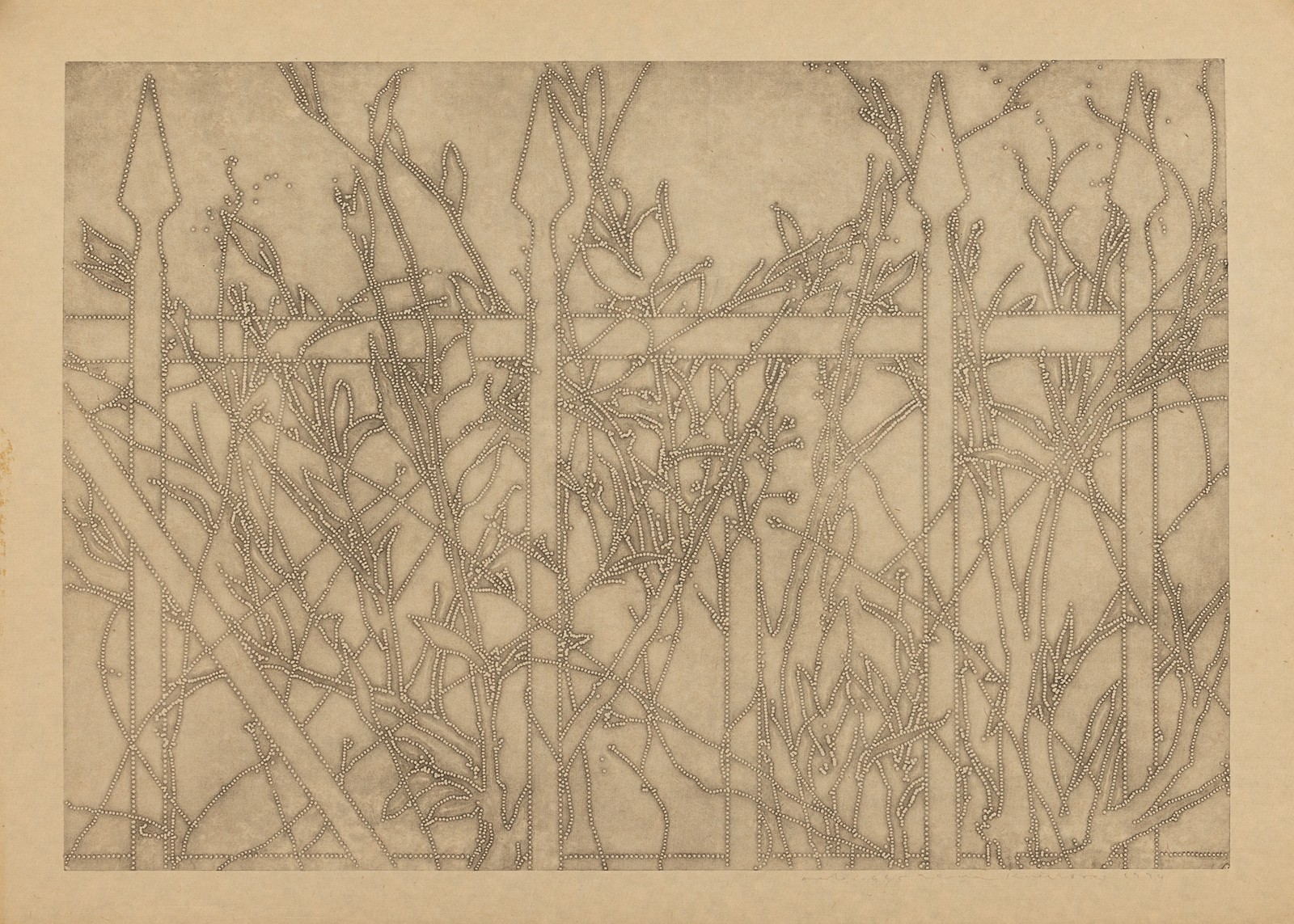 Alena Kučerová - Plot