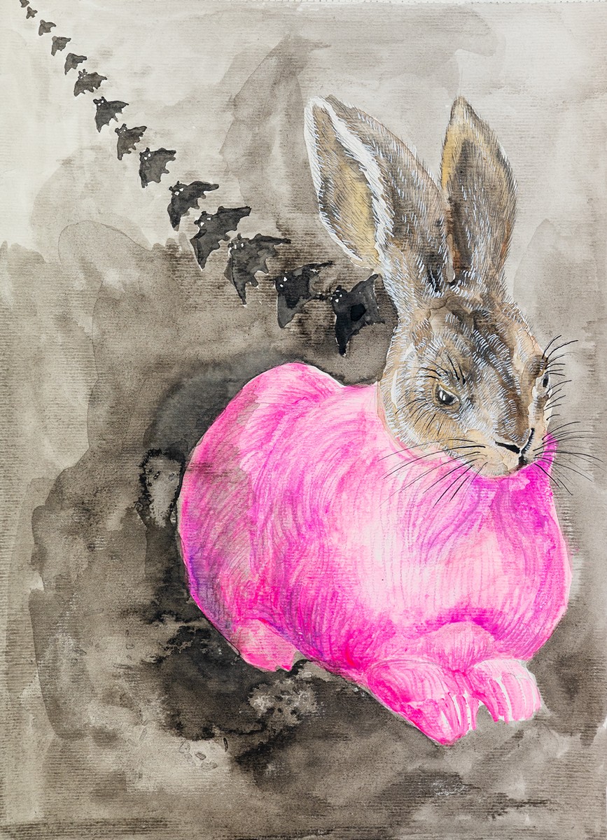 Karolína Netolická (1993) - Koruna odlétá