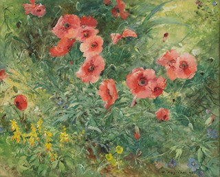 Oldřich Blažíček (1887 – 1953)
 - Poppy flower still life