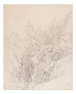 Bedřich Havránek (1821 - 1899) - Studie stromů v krajině