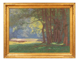 Roman Havelka (1877 - 1950) - Partie z Podyjí (velký formát)