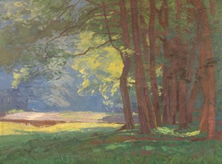 Roman Havelka (1877 - 1950) - Partie z Podyjí (velký formát)