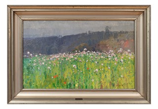 Roman Havelka (1877 - 1950) - Makové pole