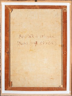 Ludvík Kuba (1863 - 1956) - Bodlák a vrbovka