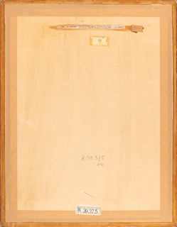 Bedřich Havránek (1821 - 1899) - Dřevěný mlýnský náhon
