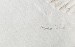 Olbram Zoubek (1926 - 2017) - Sblížení