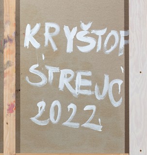 Kryštof Strejc (1994) - Fish