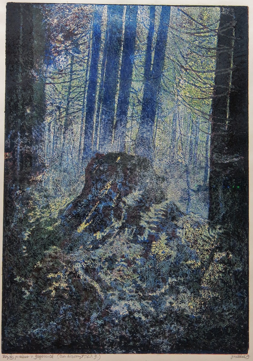 Josef Váchal (1884 - 1969) - Zbytky pralesa Gayerruck