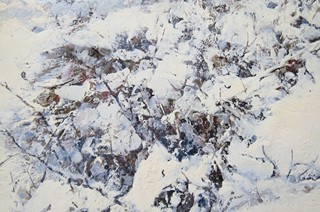 Jaroslav Věšín - Ranní lov