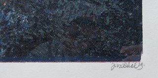 Josef Váchal (1884 - 1969) - Zbytky pralesa Gayerruck