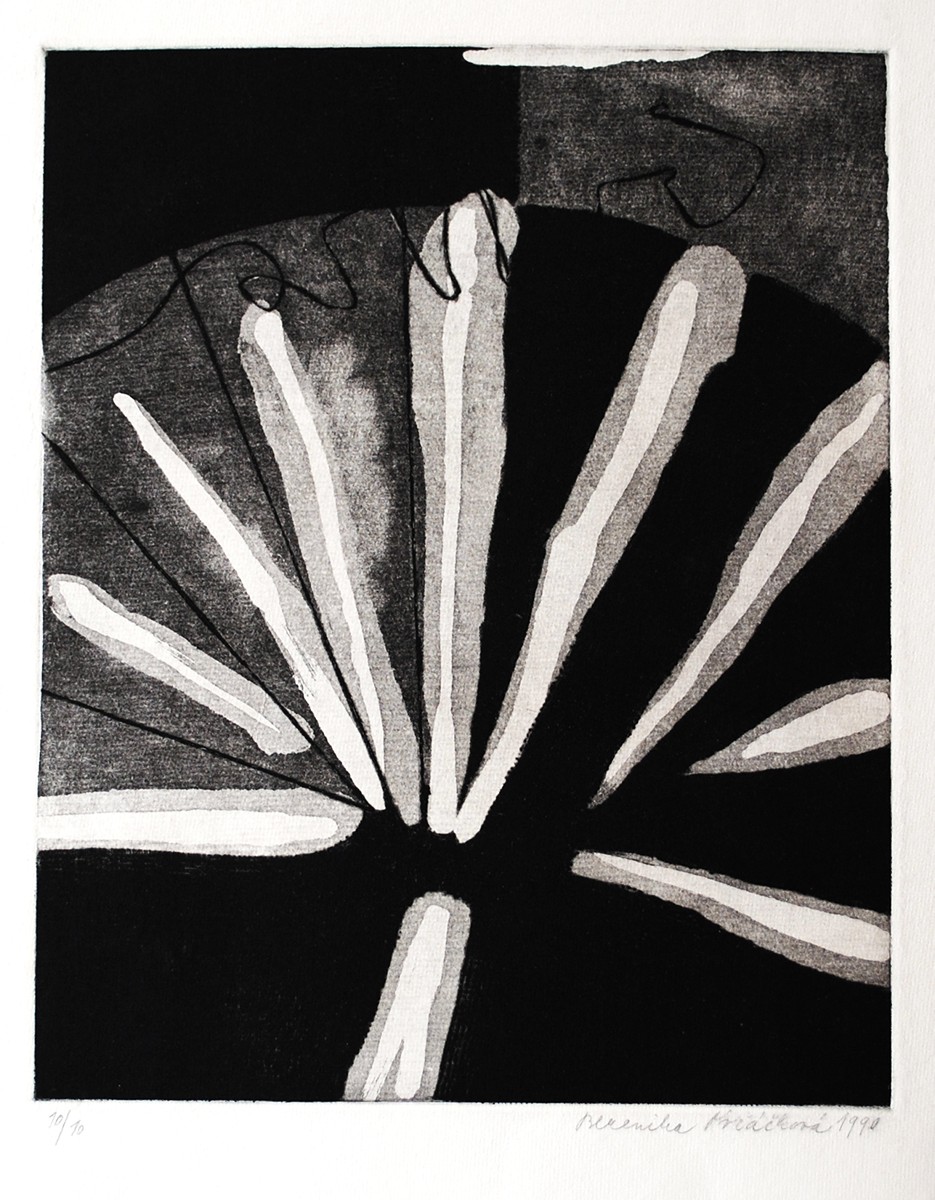 Berenika Ovčáčková (1964) - Vějíř