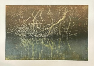 Peter Kollár (1977) -  Ponořený II