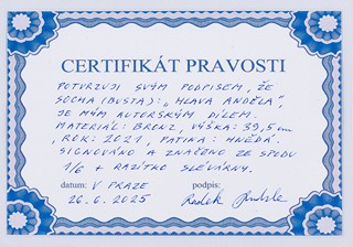 Radek Andrle (1976) - Hlava anděla