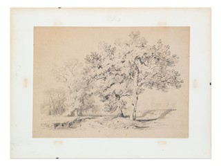 Alexandre Calame (1810 - 1864) - Krajina se stromy