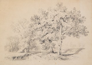 Alexandre Calame (1810 - 1864) - Krajina se stromy