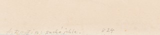 Auguste Rodin (1840 - 1917) - Henri Becque