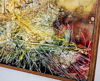 František Blažíček (1956) – Dráha