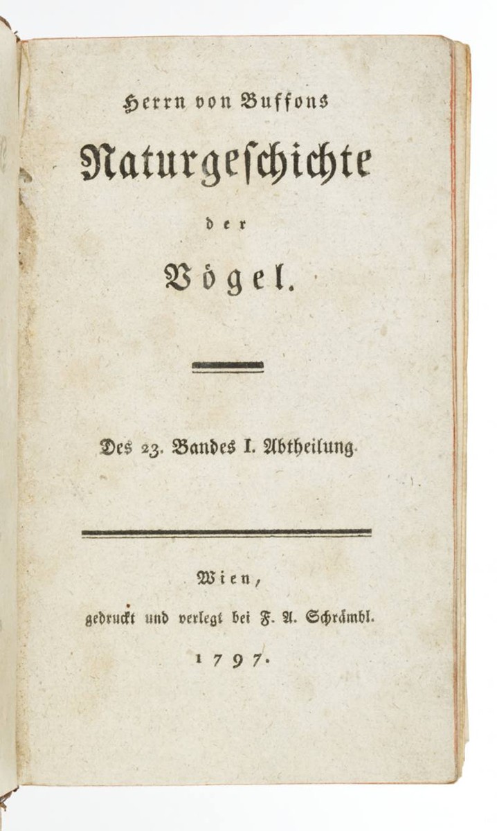 Georges-Louis Leclerc de Buffon (1707-1788) - HERRN VON BUFFONS NATURGESCHICHTE DER VÖGEL. DES 23. BANDES I. ABTHEILUNG