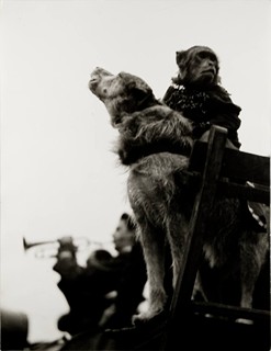 Tibor Honty (1907-1968) - TROJICE FOTOGRAFIÍ