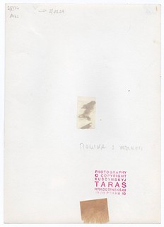 Taras Kuščynskyj (1932-1983) - MONIKA S JABLKEM