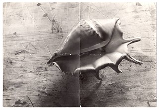 Jan Svoboda (1934-1990) - MUŠLE