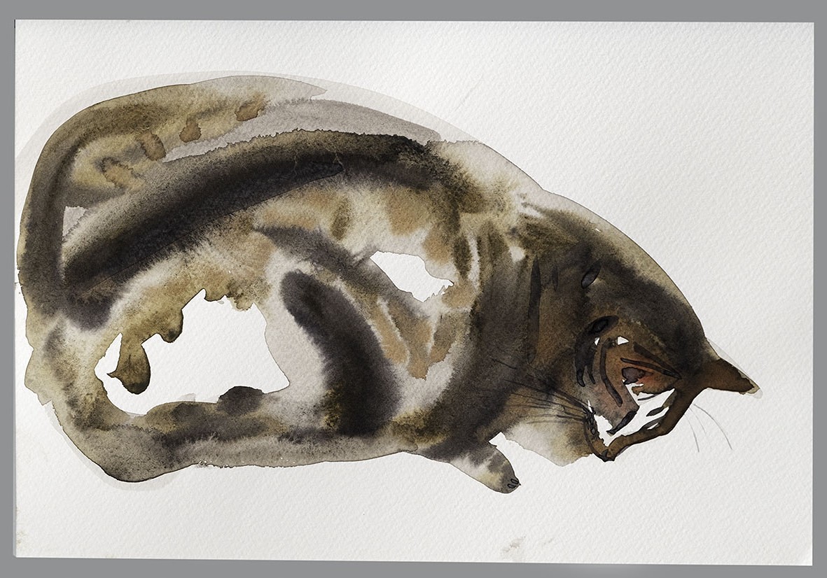 Vendula Chalánková (1981) - Cat 2