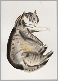 Cat 1