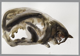 Vendula Chalánková (1981) - Cat 2