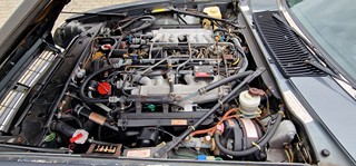 Jaguar XJS gray