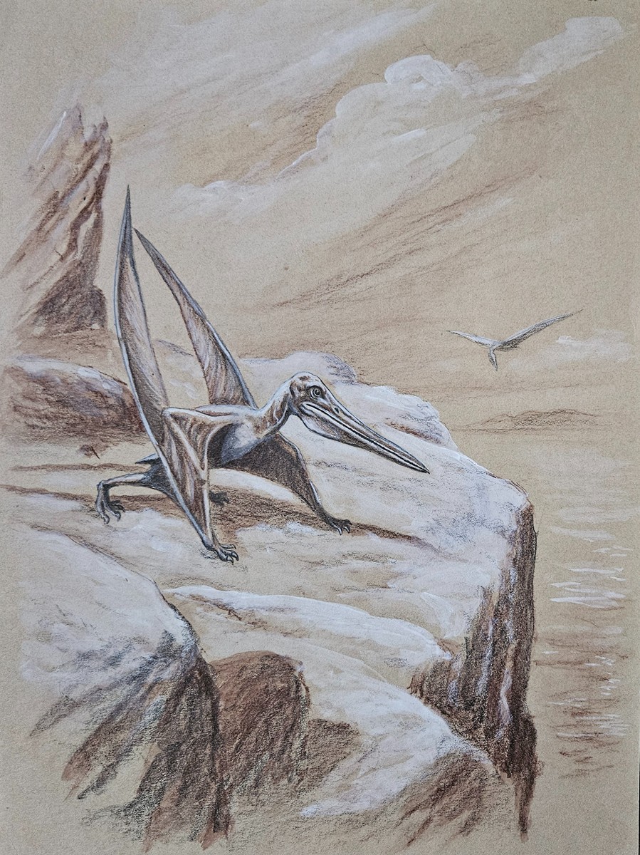 Petr Modlitba (1968) - Pterodaktyl - Christmas auction Preclik Gallery ...