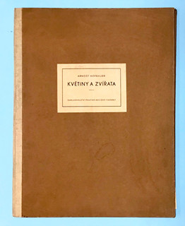 Hofbauer Arnošt (1869 -1944) - Květiny a zvířata