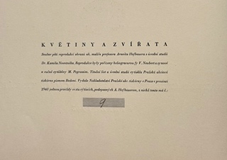 Hofbauer Arnošt (1869 -1944) - Květiny a zvířata
