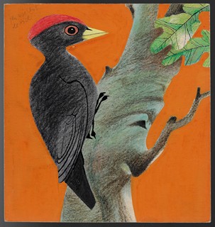 Jindřich Hilčr (1921 - 2003) - Maľovaní priatelia / napísal Jindřich Hilčr ; ilustroval Luděk Maňásek