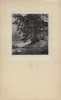 Bohumil Heinz (1894 - 1940) - Z díla rytce Bohumila Heinze (1894-1944)