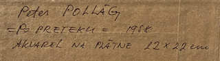 Peter Pollág (1958) - Po závodě