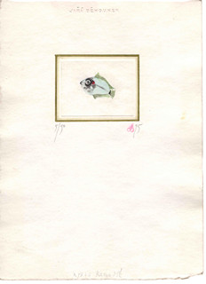 Jiří Běhounek (1929 - 2005) - Rybka ranhojič