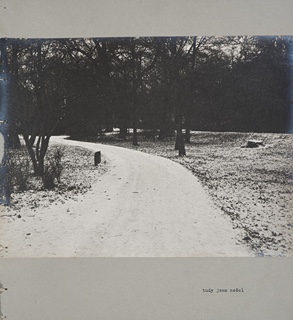 Marian Palla (1953) - MOŽNOSTI